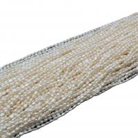 Perlas Arroz Freshwater, Perlas cultivadas de agua dulce, Bricolaje & diverso tamaño para la opción, Blanco, longitud:aproximado 36-38 cm, Vendido por Sarta