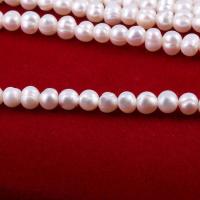 Round Cultured Freshwater Pearl Beads, DIY, white, 5-6mm Approx 12 Inch 