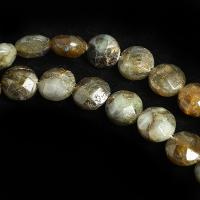 Perles en labradorite, Plat rond, DIY & facettes Environ 38 cm, Vendu par brin