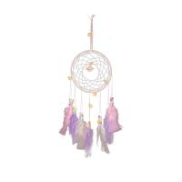 Мода Dreamcatcher, перья, с Железо, Висит, разноцветный, 510mm, продается PC