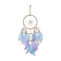 Мода Dreamcatcher, перья, с Железо, Висит & разные стили для выбора, 450mm, продается PC