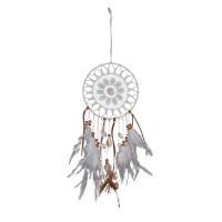 Мода Dreamcatcher, перья, с Железо, Висит, белый, 390mm, продается PC