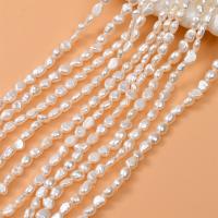 Keshi Cultured Freshwater Pearl Beads, DIY 