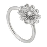 Edelstahl Fingerring, 316 Edelstahl, Blume, Modeschmuck & für Frau, originale Farbe, 12x12mm,2mm, Größe:6.5, verkauft von PC