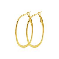 Zinc Alloy Hoop Earring, plated, fashion jewelry & for woman 