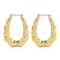 Zinc Alloy Hoop Earring, plated, fashion jewelry & for woman 