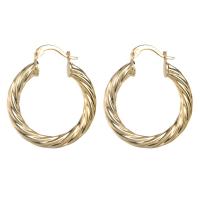 Zinc Alloy Hoop Earring, gold color plated, fashion jewelry & for woman 