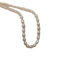 Collar de Perlas Natural de Freshwater, Perlas cultivadas de agua dulce, con Partículas de acero, con 2.76inch extender cadena, Joyería & para mujer, longitud:aproximado 13.39 Inch, Vendido por Sarta