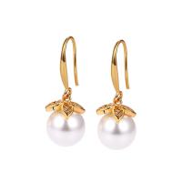 South Sea Shell Drop Earrings, Brass, with Shell Pearl, plated & micro pave cubic zirconia & for woman 