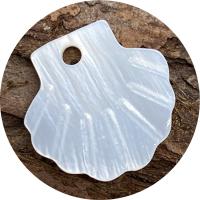 Pendentifs de coquillage naturel, coquille d'eau douce, coquille, DIY, blanc Vendu par PC