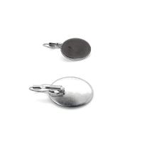 Stainless Steel Lever Back Earring Component, 304 Stainless Steel, DIY original color 