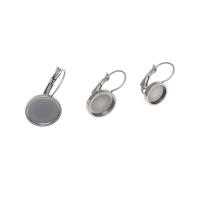 Stainless Steel Lever Back Earring Component, 304 Stainless Steel, DIY original color 