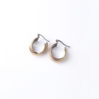 Stainless Steel Hoop Earring, 304 Stainless Steel, Vacuum Ion Plating, fashion jewelry & for woman 