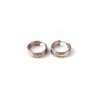 Stainless Steel Hoop Earring, 304 Stainless Steel, 18K gold plated, fashion jewelry & for woman 