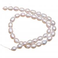 Perlas Arroz Freshwater, Perlas cultivadas de agua dulce, Bricolaje, Blanco, 8-9mm, longitud:36-38 cm, Vendido por UD