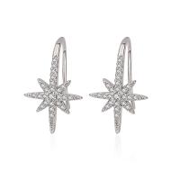 Cubic Zirconia Micro Pave Brass Earring, Hexagram, platinum plated, micro pave cubic zirconia & for woman 