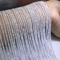 Single Gemstone Beads, Sea Opal, polished, DIY & faceted, white Approx 38-40 cm 