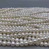 Natural Freshwater Pearl Loose Beads, DIY, white, 7-8mm Approx 15 Inch 