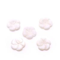 Natural White Shell Beads, Flower, Carved, DIY white 