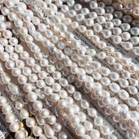 Natural Freshwater Pearl Loose Beads, DIY white Approx 15 Inch 