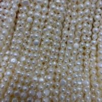 Natural Freshwater Pearl Loose Beads, DIY white Approx 15 Inch 