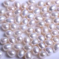 No Hole Cultured Freshwater Pearl Beads, DIY 11-12mm 