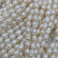 Rice Cultured Freshwater Pearl Beads, DIY, white, 4-5mm Approx 15 Inch 