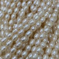 Rice Cultured Freshwater Pearl Beads, DIY, white, 4-5mm Approx 15 Inch 