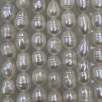 Rice Cultured Freshwater Pearl Beads, DIY, white, 6-7mm Approx 15 Inch 