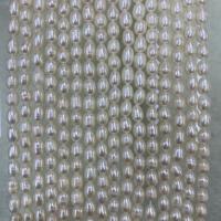 Rice Cultured Freshwater Pearl Beads, DIY, white, 5-6mm Approx 15 Inch 