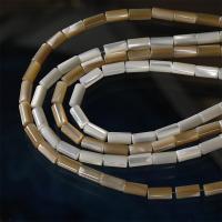 Trochus Beads, Trochus Shell, DIY Approx 