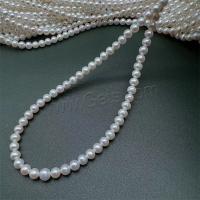 Natural Freshwater Pearl Loose Beads, DIY, white, 5-6mm Approx 15 Inch 