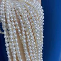 Rice Cultured Freshwater Pearl Beads, DIY, white, 5-6mm Approx 15 Inch 