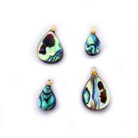 Ormeau coquille pendentifs, coquille d'ormeau, avec alliage de zinc, Placage de couleur d'or, Naturel & bijoux de mode & DIY & pour femme, plus de couleurs à choisir, Vendu par PC