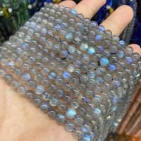 Perles en labradorite, Rond, poli, DIY, gris, 6mm Environ 39 cm, Vendu par brin