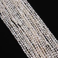 Perles de culture d'eau douce Keishi, perle d'eau douce cultivée, baroque, DIY & normes différentes pour le choix, blanc Environ 38 cm, Vendu par brin