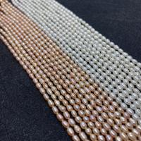 Rice Cultured Freshwater Pearl Beads, DIY Approx 38 cm 