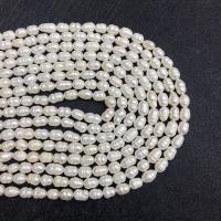 Rice Cultured Freshwater Pearl Beads, DIY white Approx 38 cm 