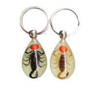 Resin Key Chain, with Iron, Teardrop, Unisex & epoxy gel 