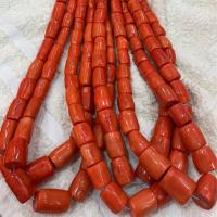 Natural Coral Beads, DIY, Grade A Plus, 15-25mm 