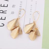 Zinc Alloy Drop Earring, gold color plated, fashion jewelry & for woman, golden 