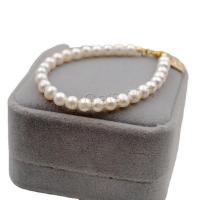 Bracelets de perles, Acier titane, avec perle d'eau douce cultivée, avec 3.5cm chaînes de rallonge, Plaqué d'or, bijoux de mode & normes différentes pour le choix & pour femme, deux couleurs différentes cm, Vendu par brin