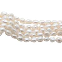 Perles de culture d'eau douce Keishi, perle d'eau douce cultivée, baroque, Naturel & DIY & normes différentes pour le choix, blanc Environ 36 cm, Vendu par brin