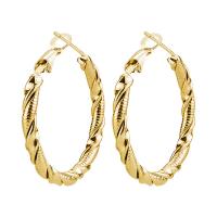 Stainless Steel Hoop Earring, 304 Stainless Steel, Vacuum Ion Plating, fashion jewelry & Unisex 