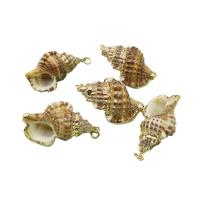 Brass Shell Pendants, with Brass, Conch, gold color plated, DIY, mixed colors, 23x37- 