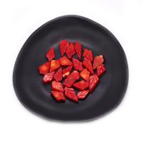 Single Gemstone Beads, Synthetic Coral, Leaf, Carved, DIY, red 