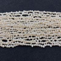 Rice Cultured Freshwater Pearl Beads, DIY white Approx 38 cm 