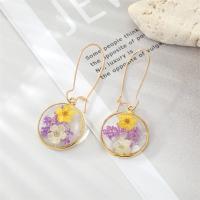 Resin Zinc Alloy Earring, with Zinc Alloy & epoxy gel 