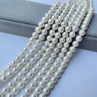 Peties perles de la mer du sud, Shell Pearl, poli, DIY & normes différentes pour le choix, blanc, Vendu par brin