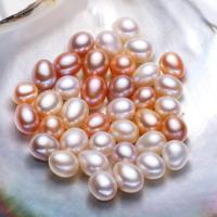 Natural Freshwater Pearl Loose Beads, Rice, DIY 